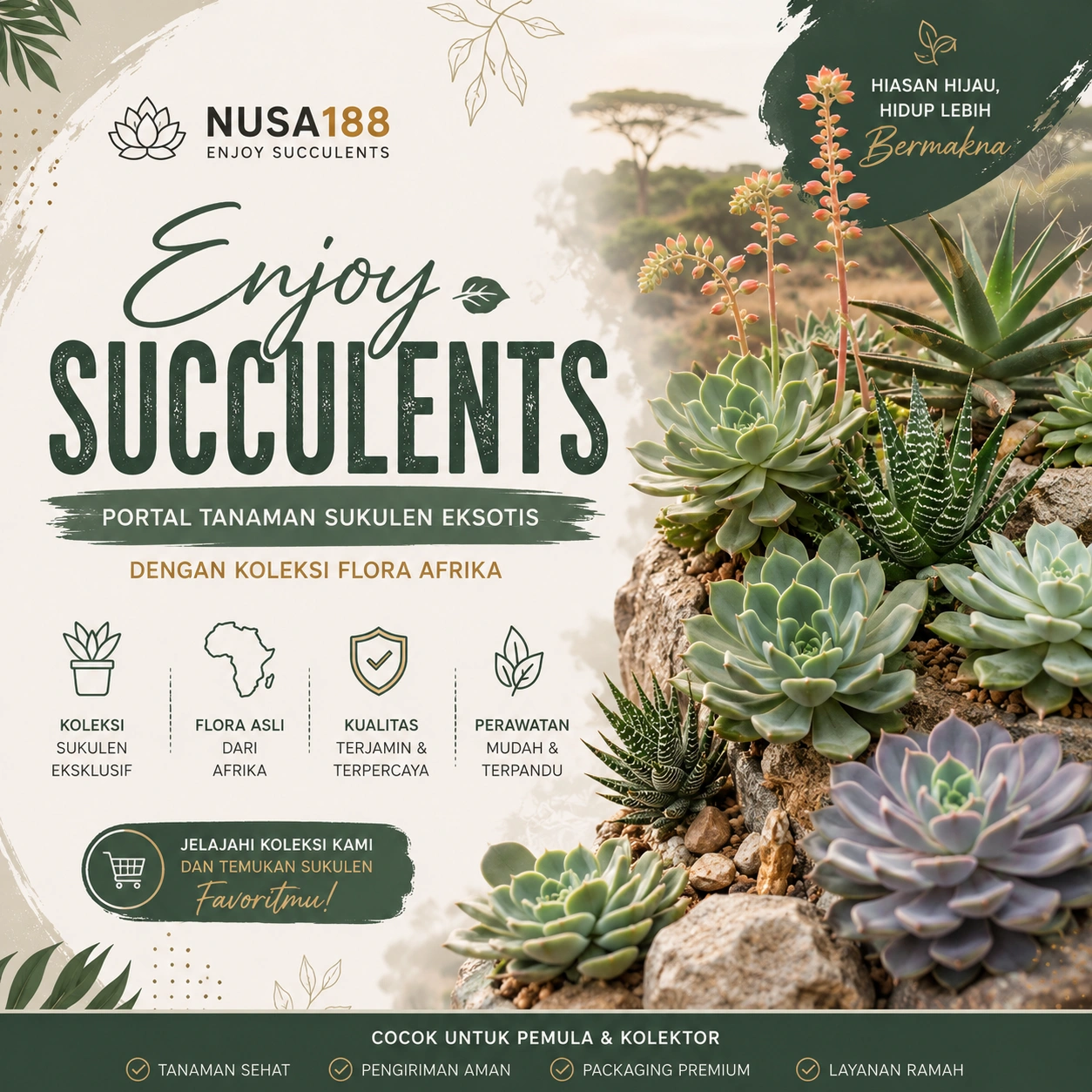 Banner Nusa188 Enjoy Succulents
