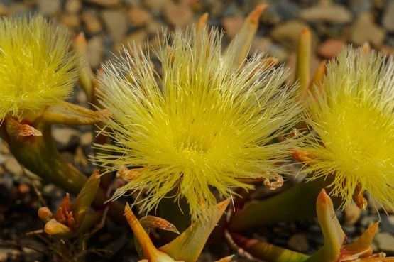 meseeury2011_09_30ev#028